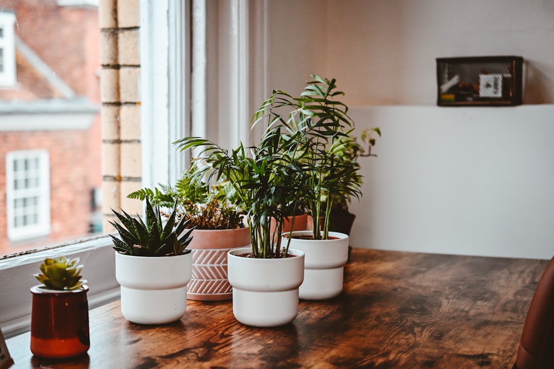 Biura coworkingowe – kluczowa rentowność